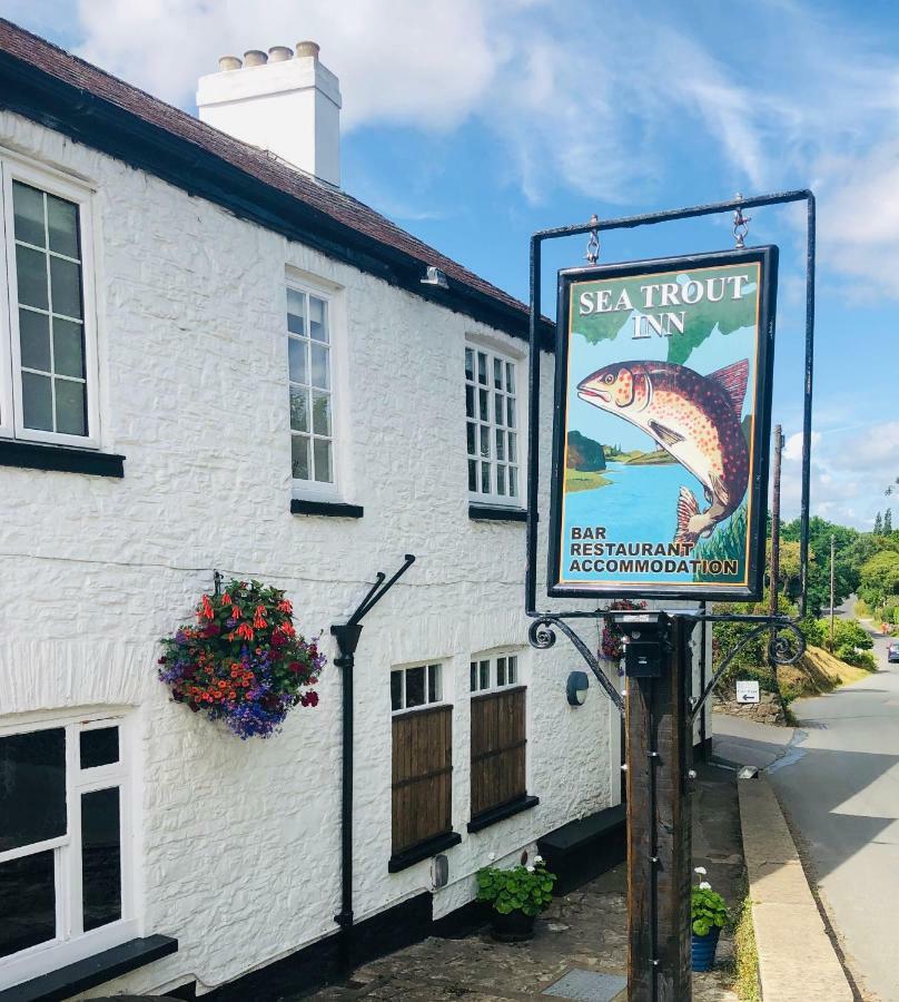 The Sea Trout Inn Totnes Exterior foto